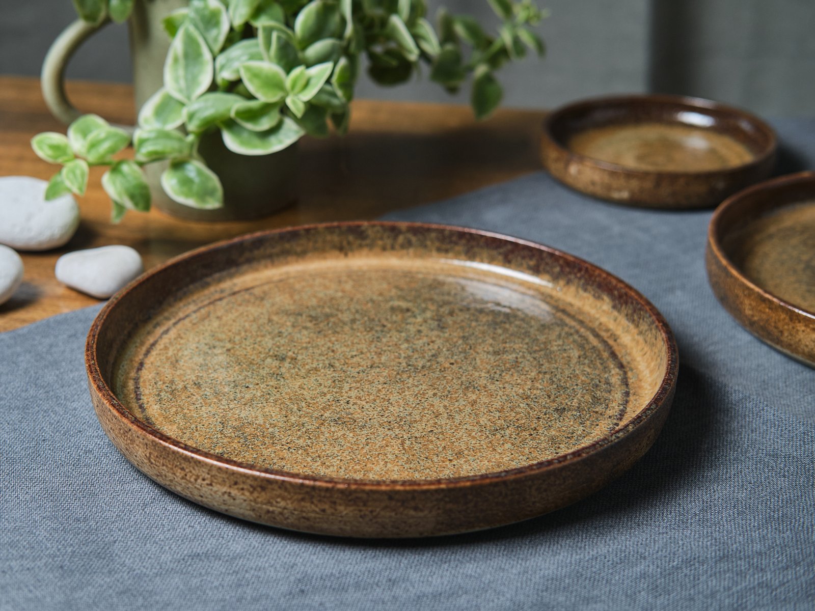 Elements Dinner Plate 26cm- Rustic Brown