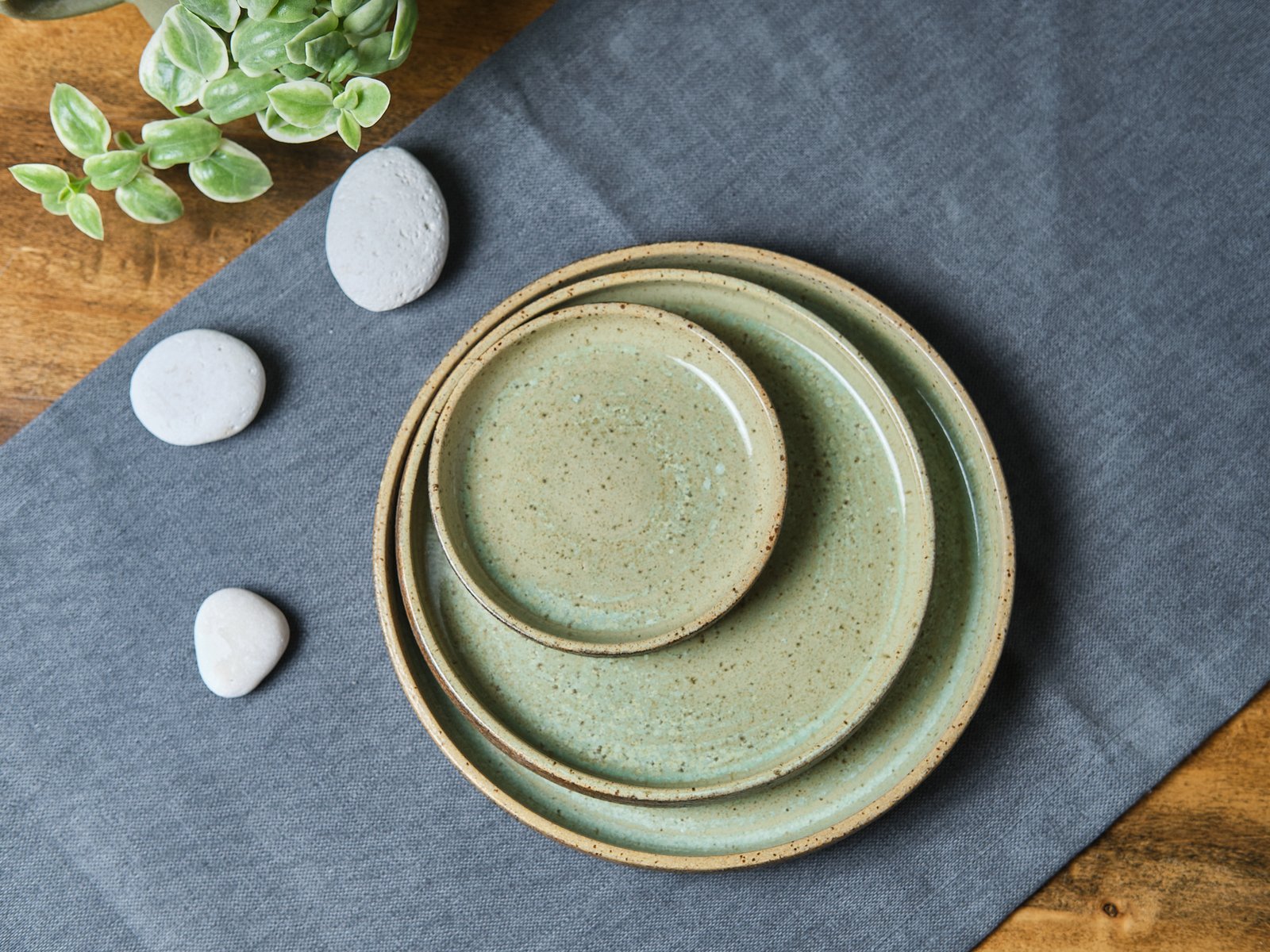 Elements Dinner Plate 22cm- Rustic Green - Image 2